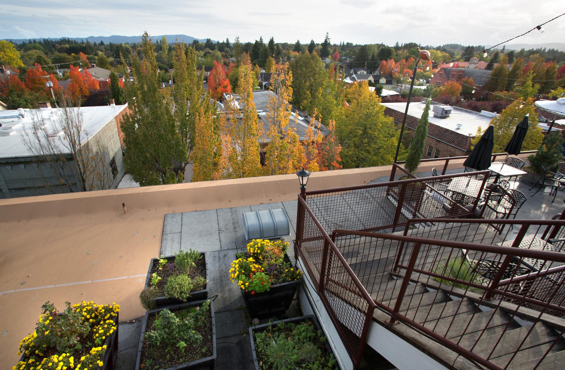 Mcmenamins Hotel Oregon Мак-Міннвілл Екстер'єр фото